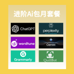 进阶AI包月套餐